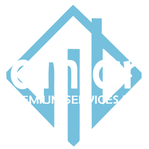 mainlandpremiumservices