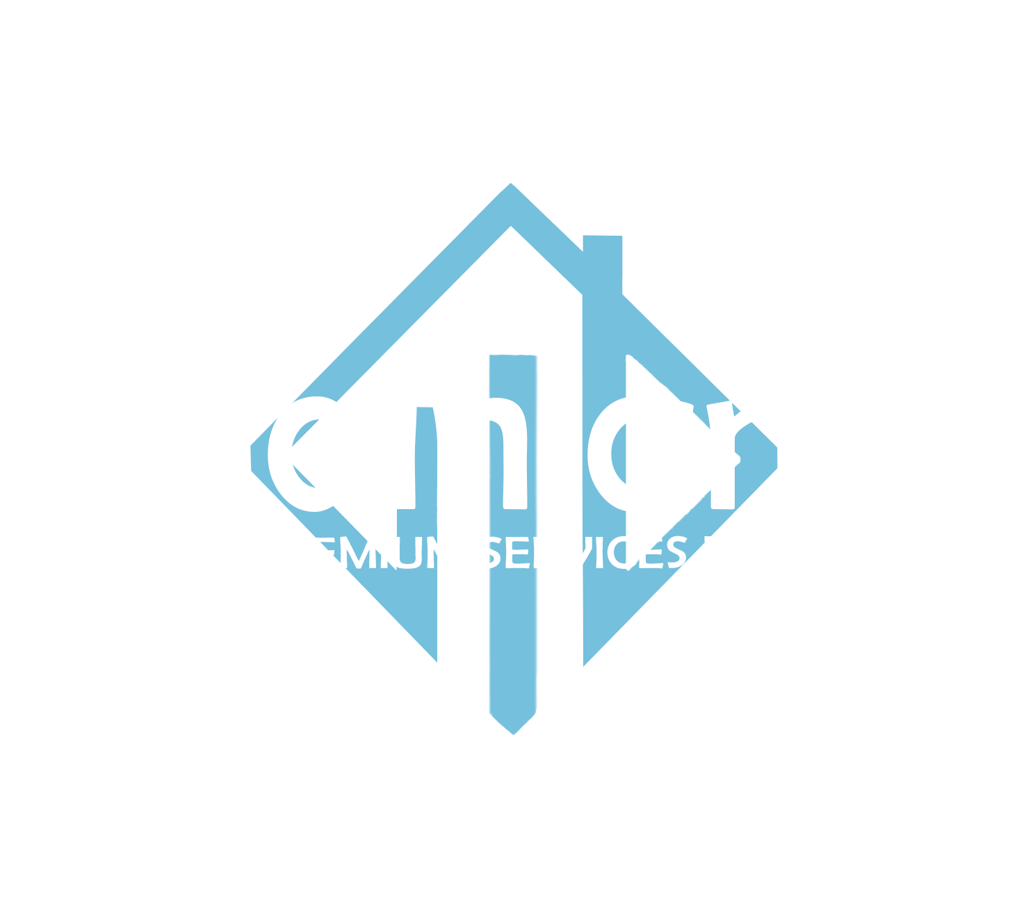 mainlandpremiumservices